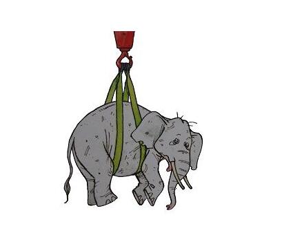 質(zhì)地柔軟的巨力迪尼瑪?shù)跹b帶